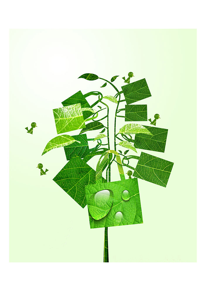 一花一世界，一個環(huán)保袋一抹綠