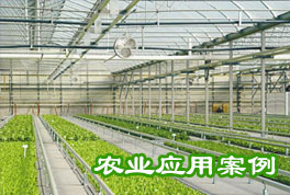 農(nóng)業(yè)應(yīng)用案例：水源熱泵機(jī)組助力恒溫大棚種植，更低運(yùn)行成本